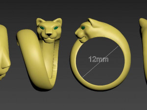 Rings Model Cetak 3D