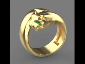 Rings Model Cetak 3D