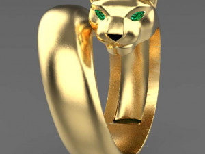 Rings Model Cetak 3D