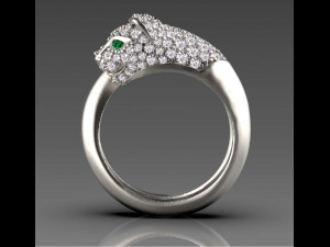 Rings Model Cetak 3D