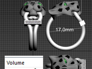 Earrings ring 3Dプリントモデル