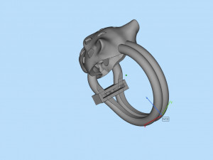 Earrings ring 3Dプリントモデル