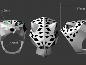 Ring 3D Print Model