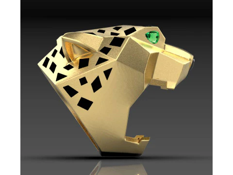 Ring 3D Print Model