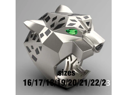 Ring 3D Print Model