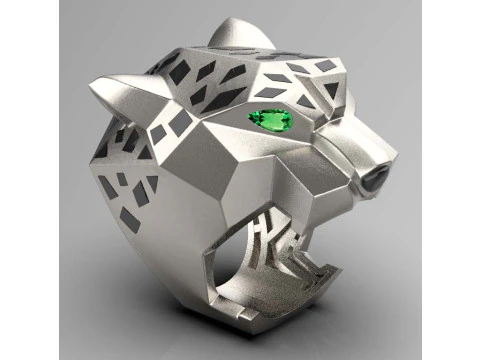 Ring 3D Print Model