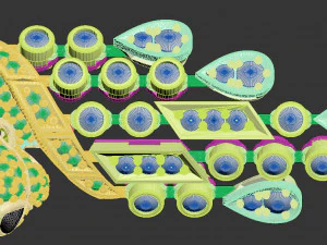 Earrings 3D Print Model