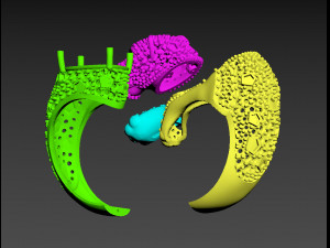Ring 3D Print Model