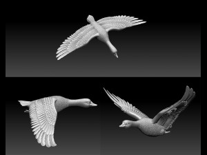 goose 3D Print Model