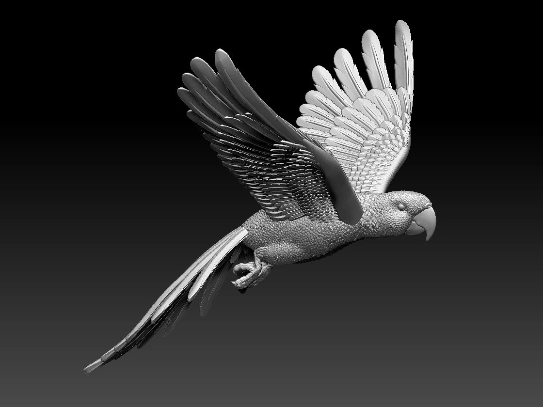 parrot 3D Print Model .c4d .max .obj .3ds .fbx .stl .blend