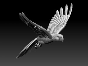 parrot 3D 打印模型