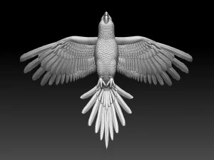 parrot 3D Print Model