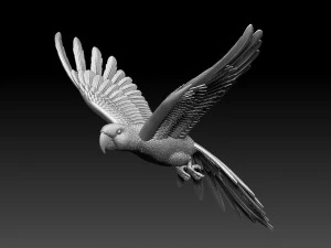 parrot 3D Print Model