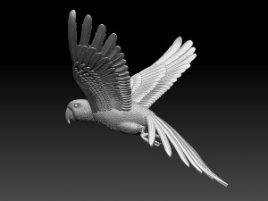 parrot 3D 打印模型