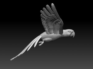 parrot 3D 打印模型