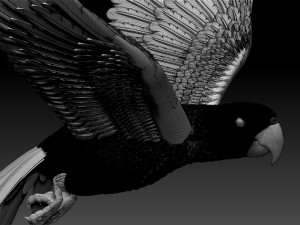parrot 3D 打印模型