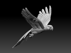 parrot 3D 打印模型