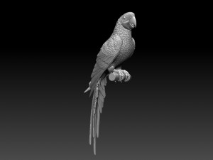 parrot 3Dプリントモデル