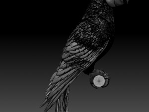 parrot 3Dプリントモデル