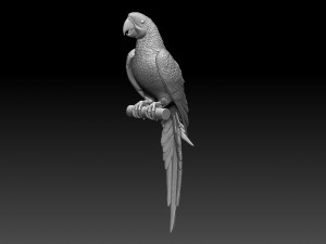 parrot 3Dプリントモデル
