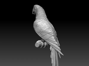 parrot 3Dプリントモデル