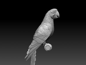 parrot 3Dプリントモデル