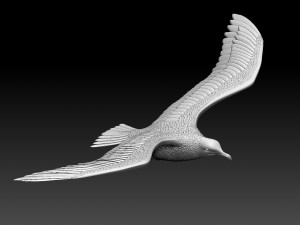 seaguul Modello di stampa 3D