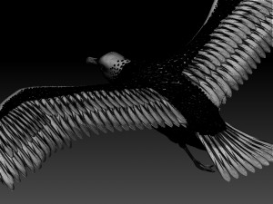 seaguul Modello di stampa 3D