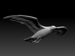 seaguul Modello di stampa 3D