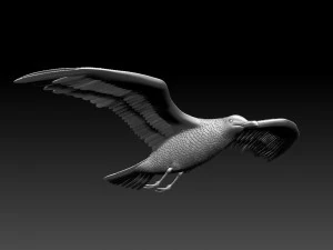 seaguul 3D Print Model