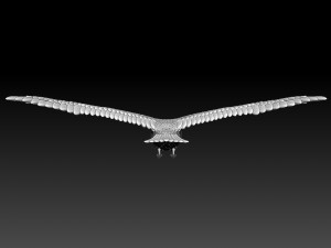 seaguul Modello di stampa 3D