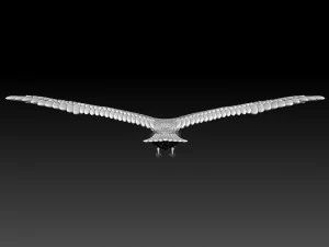 seaguul 3D Print Model