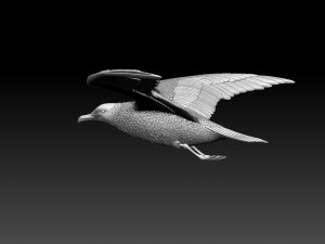 seaguul Modello di stampa 3D