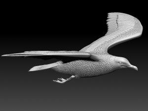 seaguul Modello di stampa 3D
