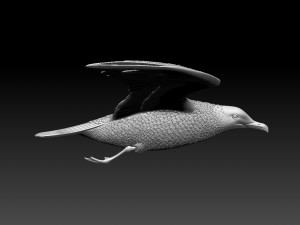 seaguul Modello di stampa 3D