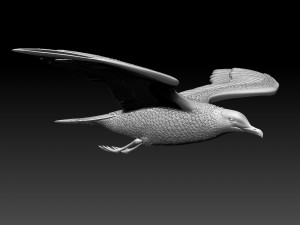 seaguul Modello di stampa 3D