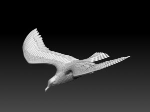 seaguul Modello di stampa 3D