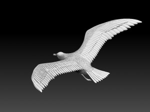 seaguul Modello di stampa 3D
