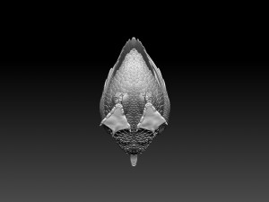 goose Model Cetak 3D