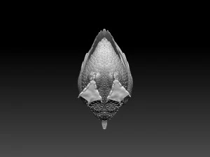 goose 3D Print Model
