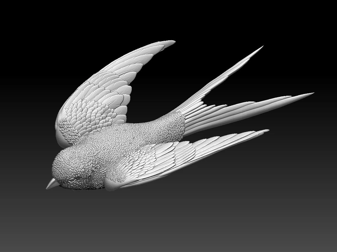 swallow 3D Print Model .c4d .max .obj .3ds .fbx .stl .blend
