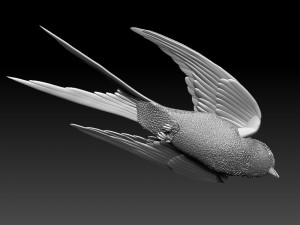 swallow 3D Print Model