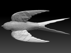 swallow 3D Print Model