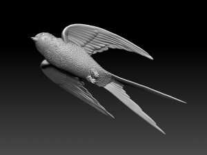 swallow 3D Print Model