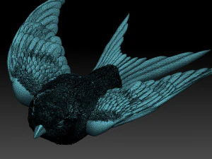 swallow 3D Print Model