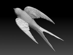 swallow 3D Print Model