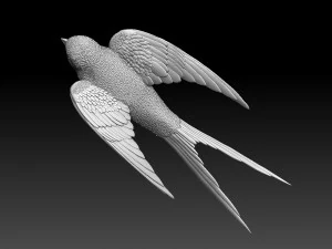 swallow 3D Print Model