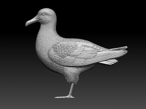 seagull 3D-Druckmodell