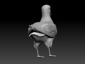 seagull 3D Print Model