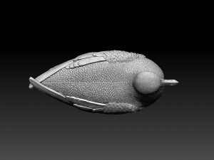 seagull 3D Print Model